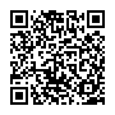 QR code for 41Y 595