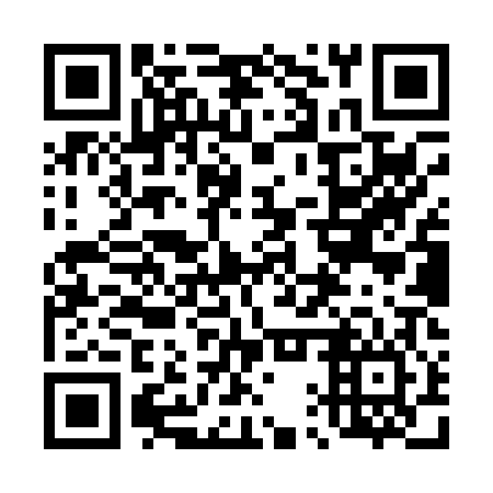 QR code for 41Y P06