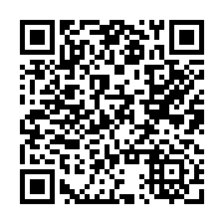 QR code for 41Z 313