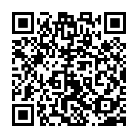 QR code for 42S P38