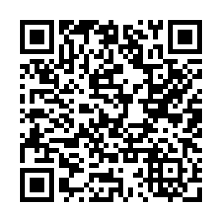 QR code for plate 42Y 381