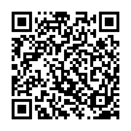 QR code for 43A313