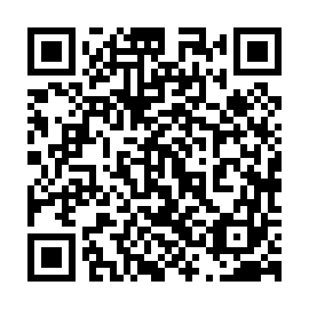 QR code for plate 43H 063