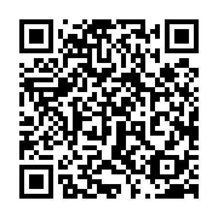 QR code for plate 43P 538