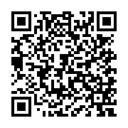 QR code for plate 43T NM5