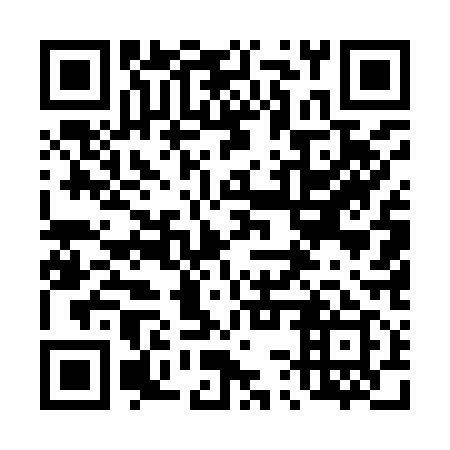 QR code for 43U 919