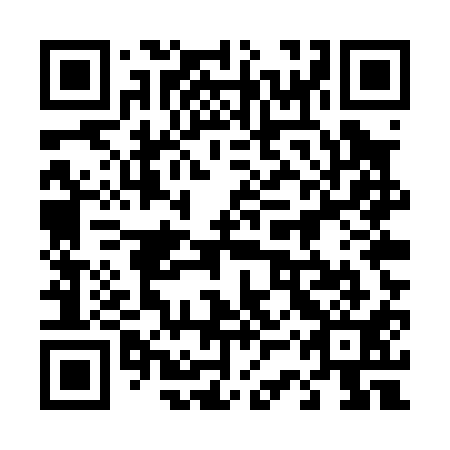 QR code for 43U P11