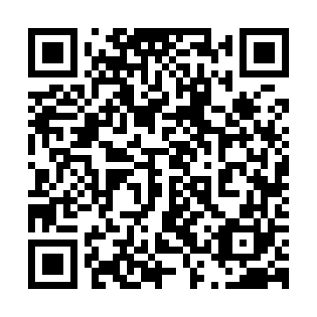 QR code for plate 43V 960