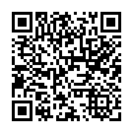 QR code for 43X 333