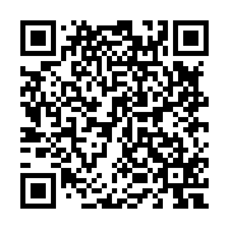 QR code for plate 45A H15