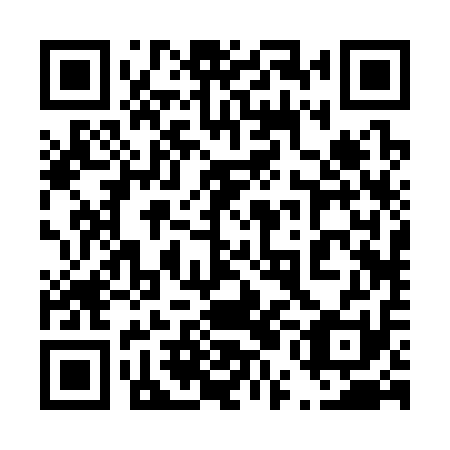 QR code for plate 45B 311
