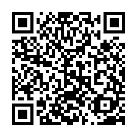QR code for plate 45B H49