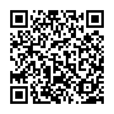 QR code for plate 45D 511