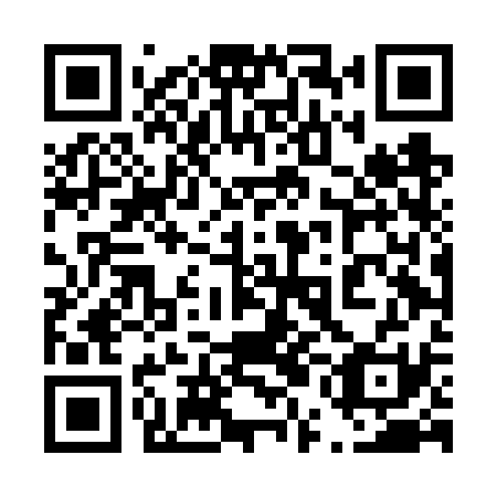 QR code for 45DFS1