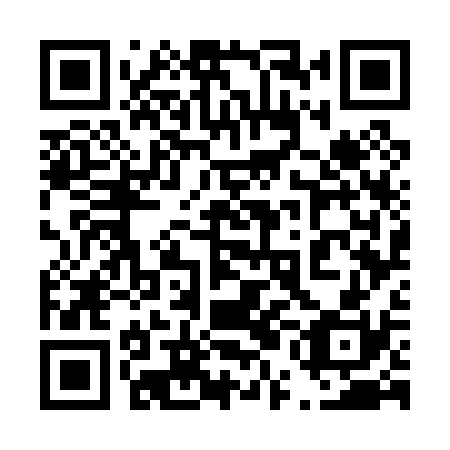 QR code for plate 45G 030