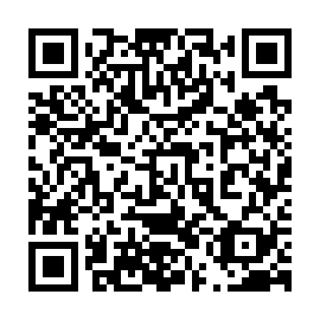 QR code for plate 45G 729
