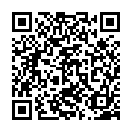 QR code for 45G933