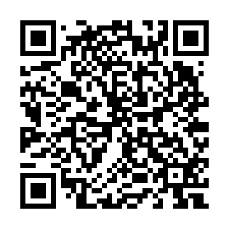 QR code for plate 45G V12