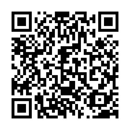 QR code for plate 45J 838