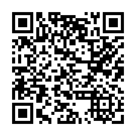 QR code for plate 45J 919