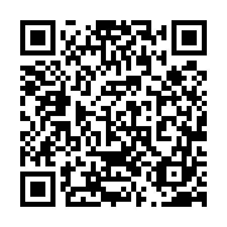 QR code for plate 45L 563