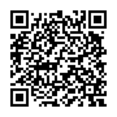 QR code for plate 45P 401