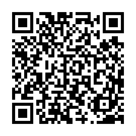 QR code for 45P663