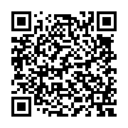QR code for plate 45P L81