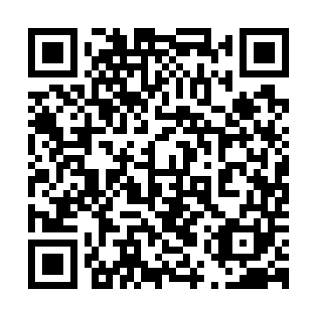 QR code for plate 45Q 741