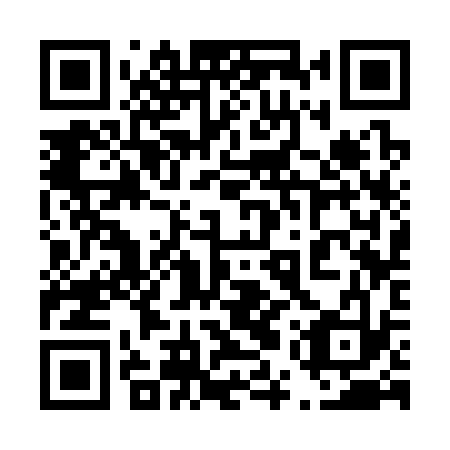 QR code for plate 45S 333