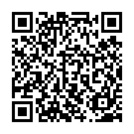 QR code for plate 45S V17