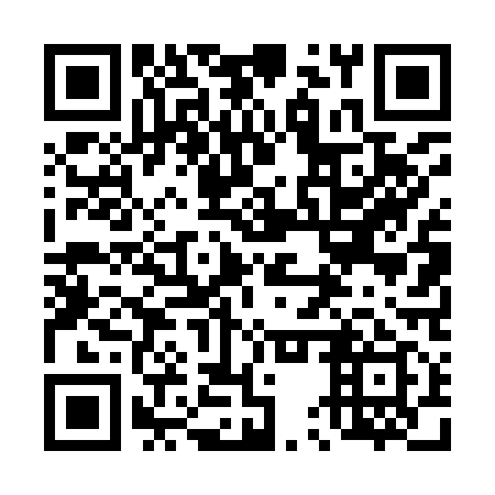 QR code for 45T 919
