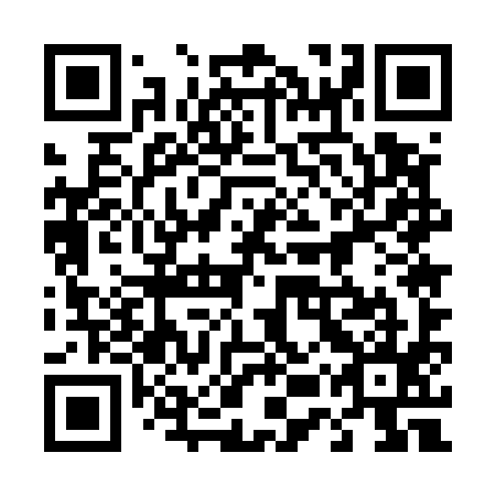 QR code for plate 45U 595