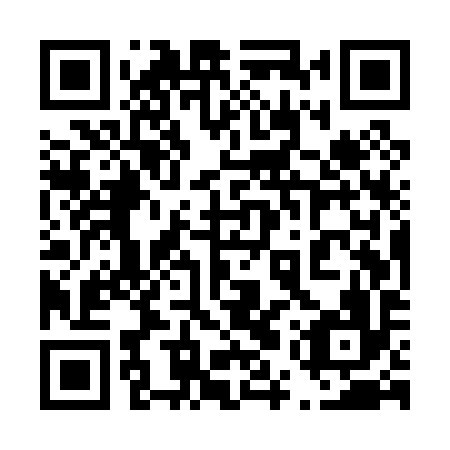 QR code for plate 45U P96
