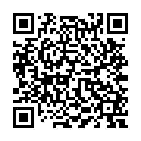 QR code for plate 45U PT0