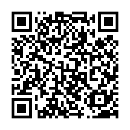 QR code for plate 45V 435