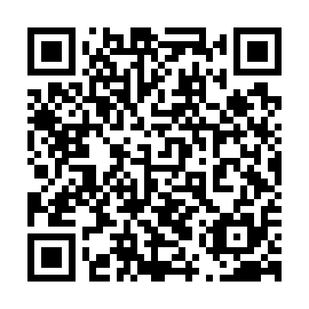 QR code for plate 45V G15