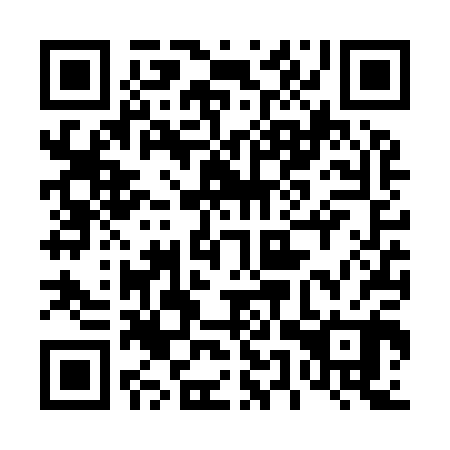 QR code for plate 45V Y00