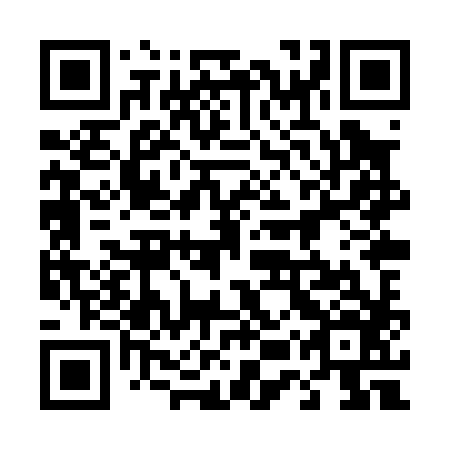 QR code for 45X P86