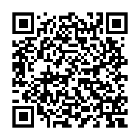 QR code for plate 45X G14