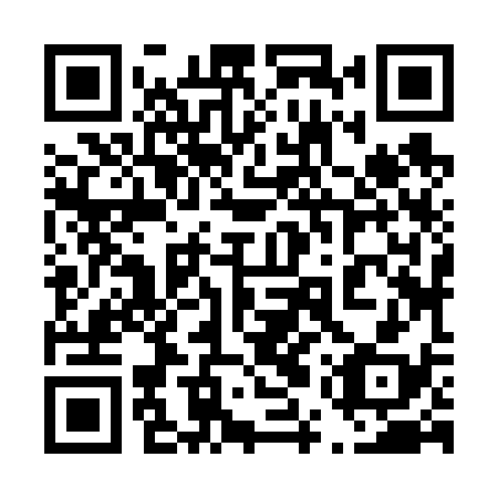 QR code for plate 45Z 638