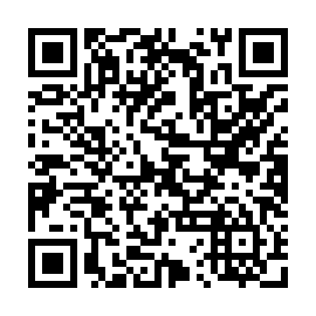 QR code for plate 46A H85