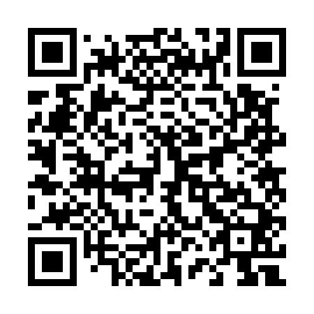 QR code for plate 46B 540
