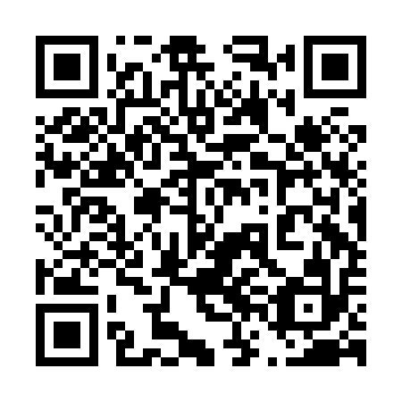 QR code for plate 46B H12