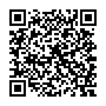 QR code for plate 46D TX1