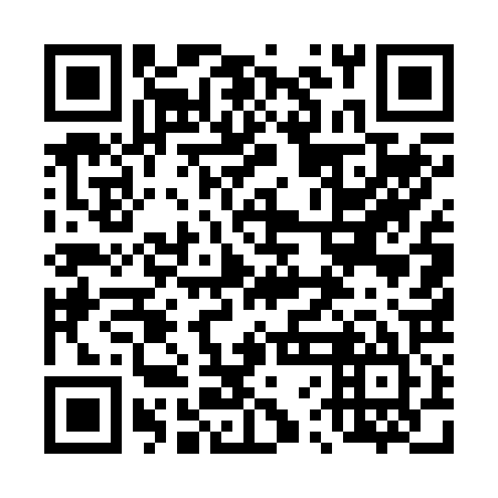 QR code for 46E225