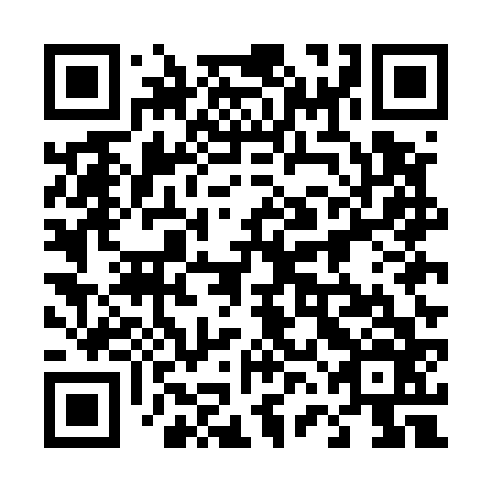 QR code for plate 46E E66