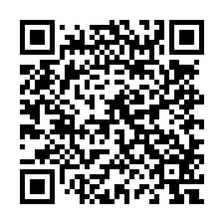 QR code for plate 46E LX6