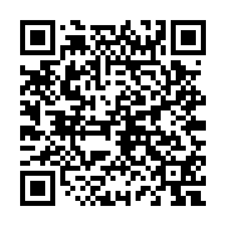 QR code for plate 46E PQ0