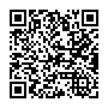 QR code for plate 46E YM6